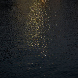 国产牲爱XXXXXXX6699
